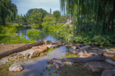 environmental consultants Northern NSW